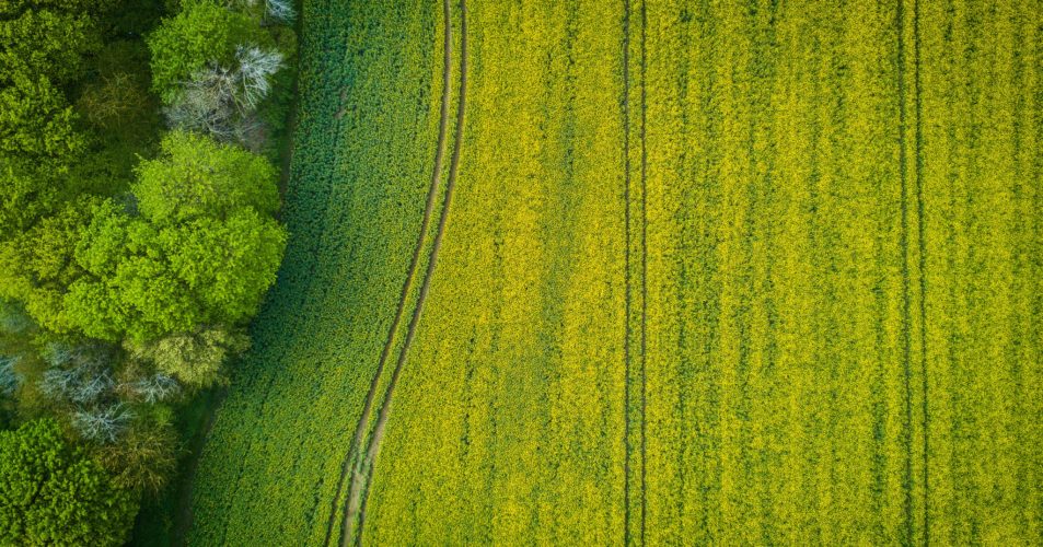 Photo d'un champ prise par un drone